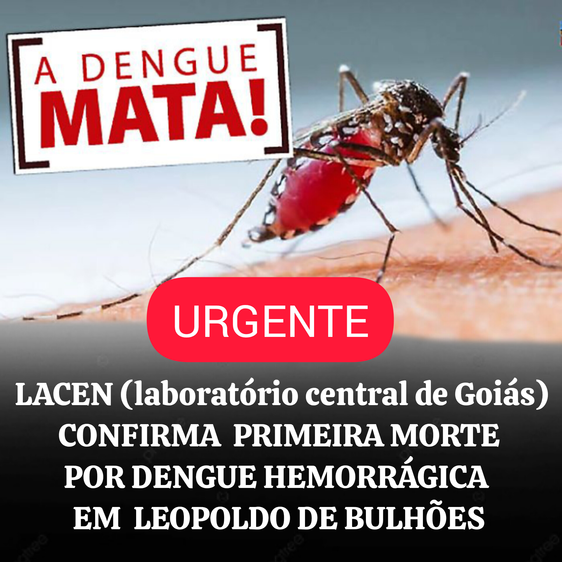 ​CONFIRMADA A PRIMEIRA MORTE POR DENGUE HEMORRÁGICA EM LEOPOLDO DE BULHÕES