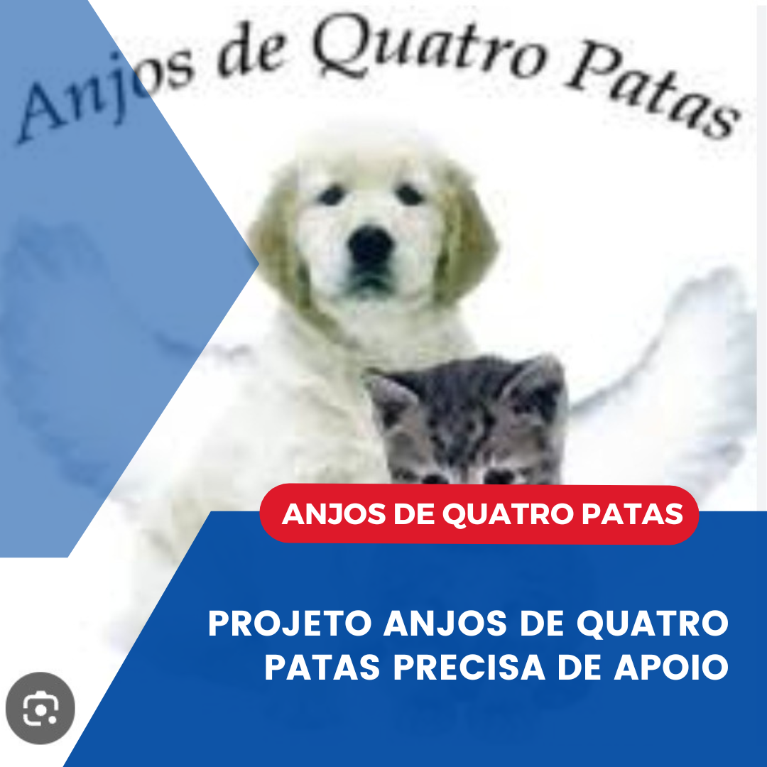​PROJETO ANJOS DE QUATRO PATAS PRECISA DE APOIO